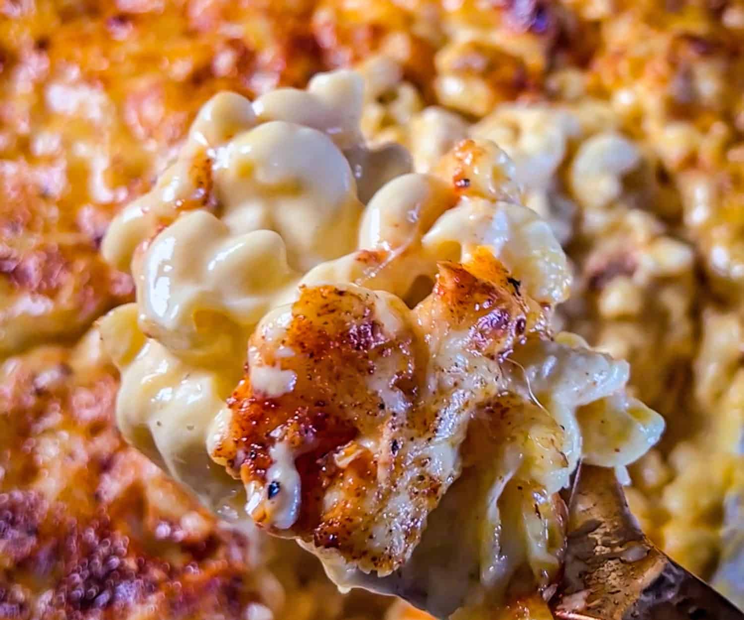 smoked mac n cheese smoked mac n cheese